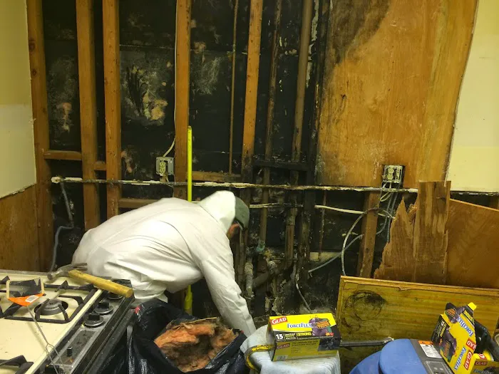 Golden Restore inc Berkeley Picture 5