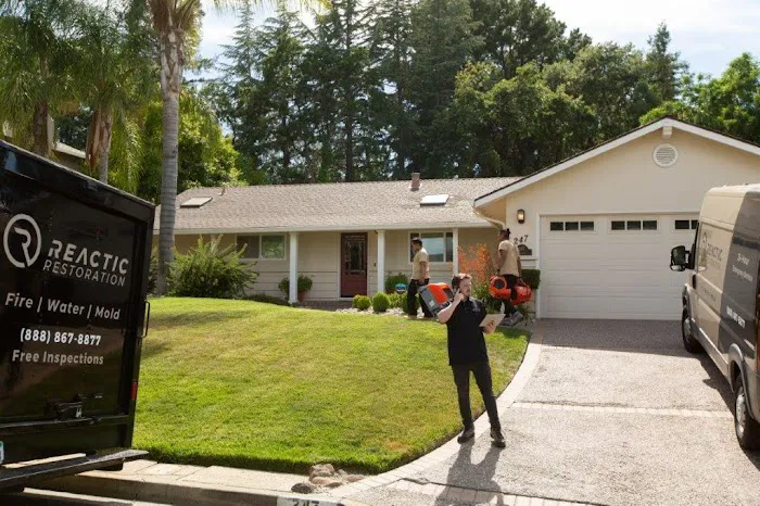 Reactic Restoration Picture 7