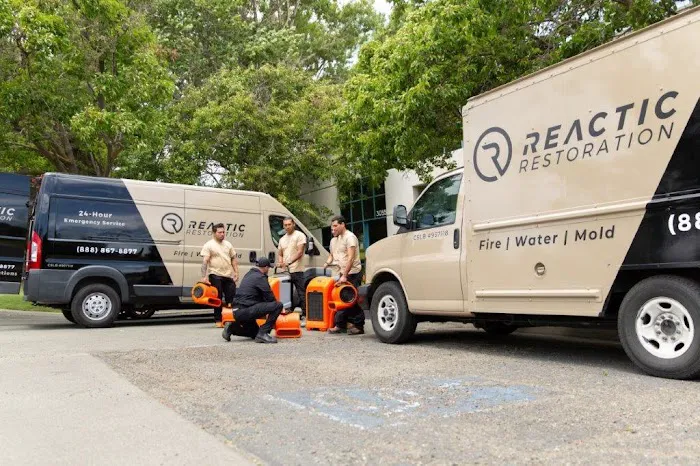 Reactic Restoration Picture 5