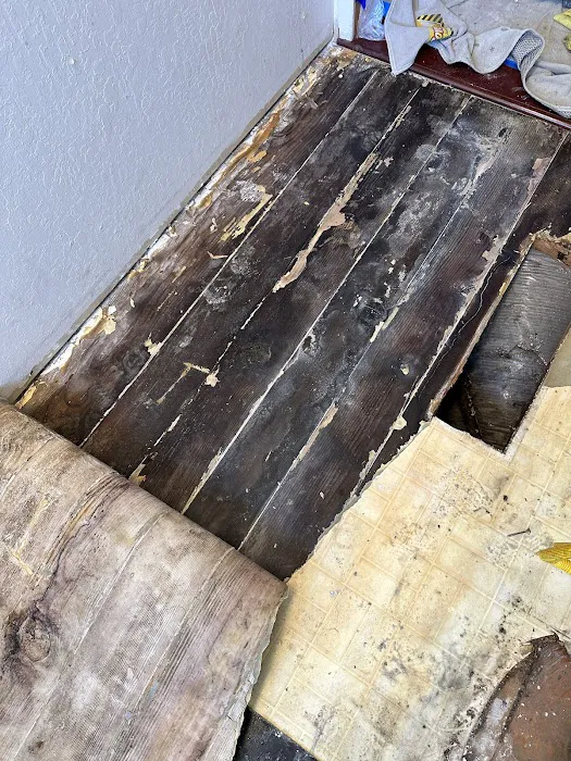 Rainbow International of Los Gatos Picture 10