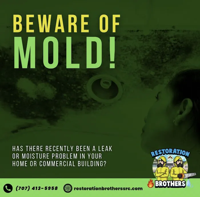 Restoration Brothers Mold inspections -Water & Fire damaged services Picture 5