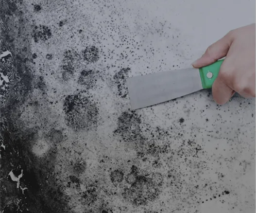 Got Damage? Fire & Water Rescue Picture 7