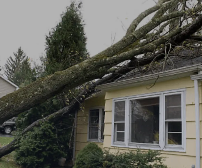 Got Damage? Fire & Water Rescue Picture 9