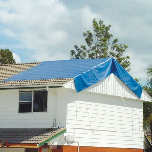 Got Damage? Fire & Water Rescue Picture 3