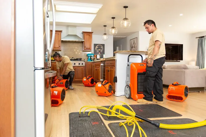 Reactic Restoration Picture 3