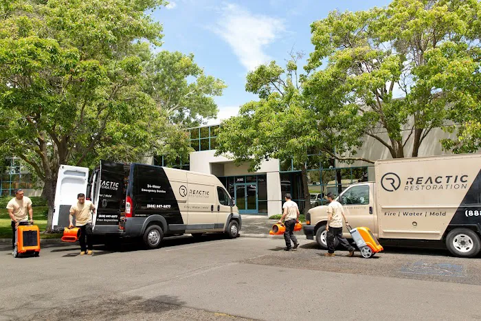 Reactic Restoration Picture 8