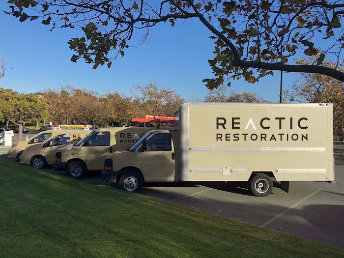 Reactic Restoration Picture 10