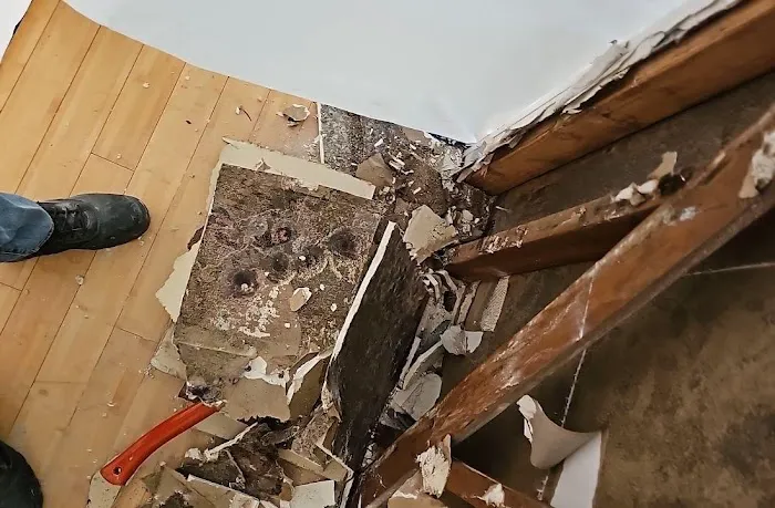 Lightspeed Restoration of Pleasant Hill Picture 2