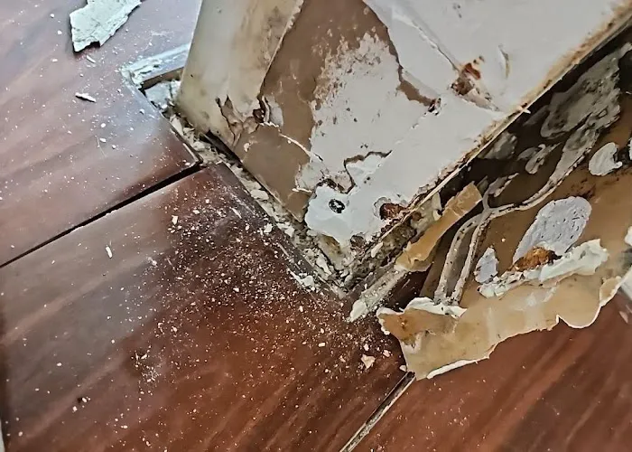 Lightspeed Restoration of Pleasant Hill Picture 3