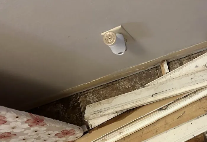 Lightspeed Restoration of Pleasant Hill Picture 1