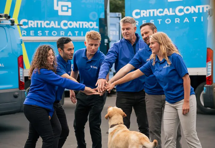 Critical Control Restoration Service Picture 5