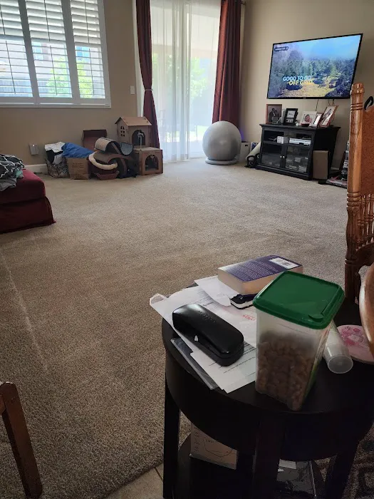 Stanley Steemer Picture 5