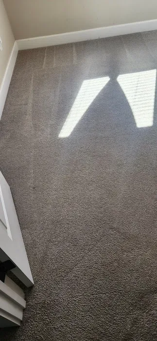 Stanley Steemer Picture 2