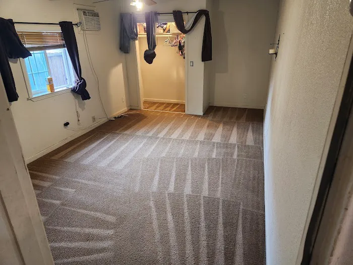 Stanley Steemer Picture 3