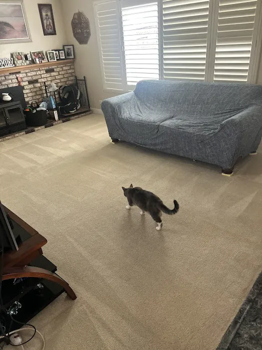 Stanley Steemer Picture 7