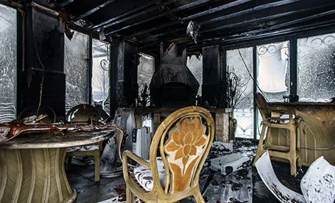 Vital Restoration Picture 2