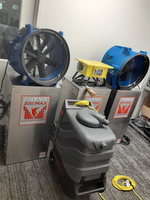 SERVICE PLUS RESTORATION Picture 3