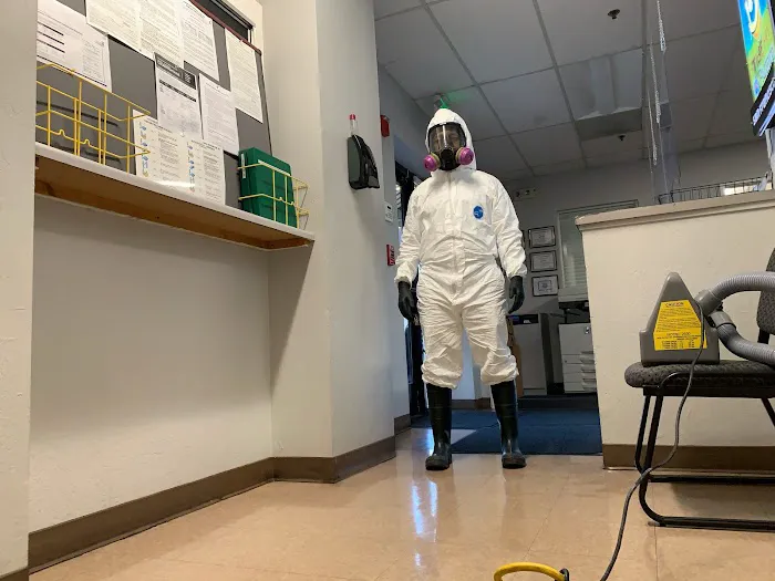 X2 Green Carpets Picture 1