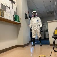 X2 Green Carpets ico