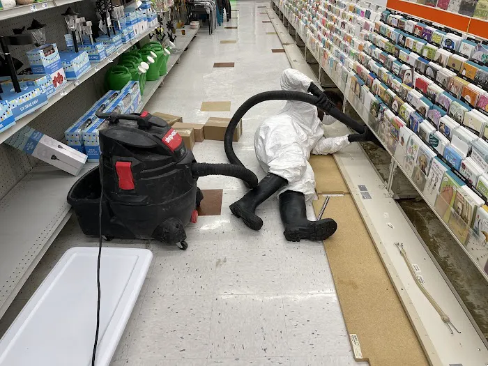 X2 Green Carpets Picture 9