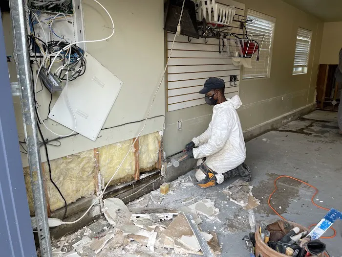 X2 Green Carpets Picture 7