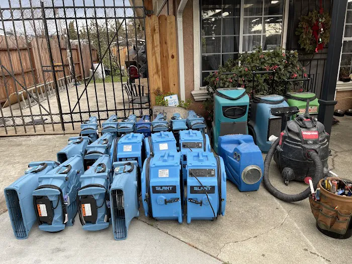 X2 Green Carpets Picture 8