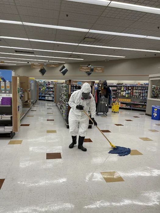 X2 Green Carpets Picture 5