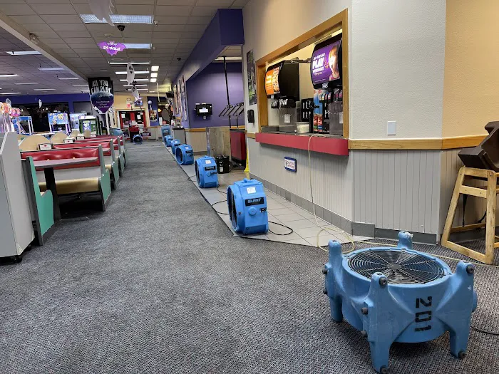 X2 Green Carpets Picture 10