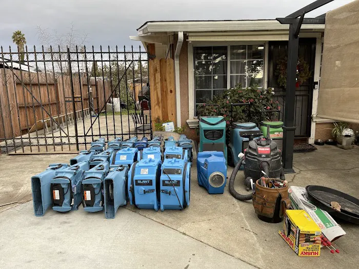 X2 Green Carpets Picture 3