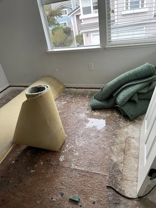 X2 Green Carpets Picture 6