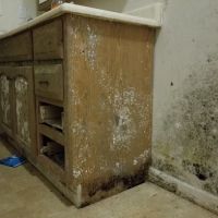 Woody's Restoration Service ico