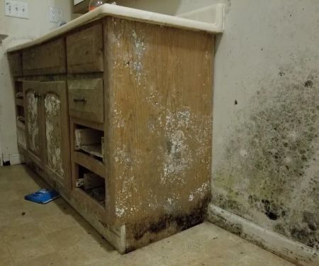 Woody's Restoration Service