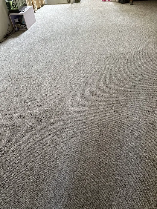 Aladdin Magic Carpet Cleaning Picture 1