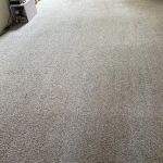 Aladdin Magic Carpet Cleaning