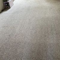 Aladdin Magic Carpet Cleaning ico