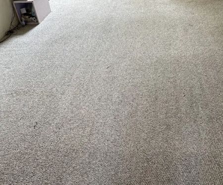 Aladdin Magic Carpet Cleaning