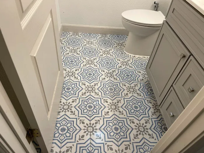 Aladdin Magic Carpet Cleaning Picture 3