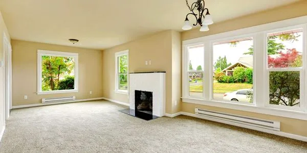 Aladdin Magic Carpet Cleaning Picture 2