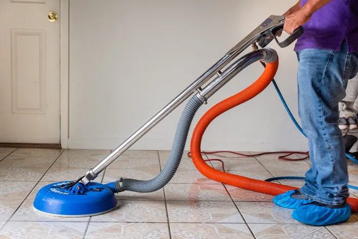 Aladdin Magic Carpet Cleaning Picture 5