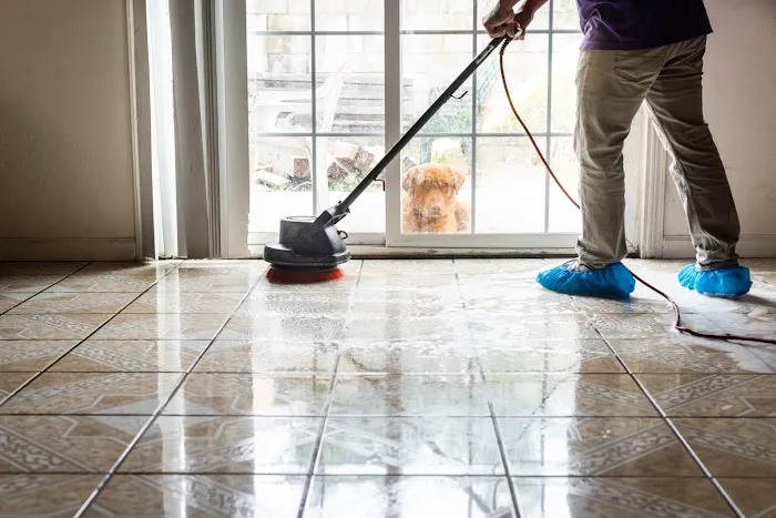 Aladdin Magic Carpet Cleaning Picture 4