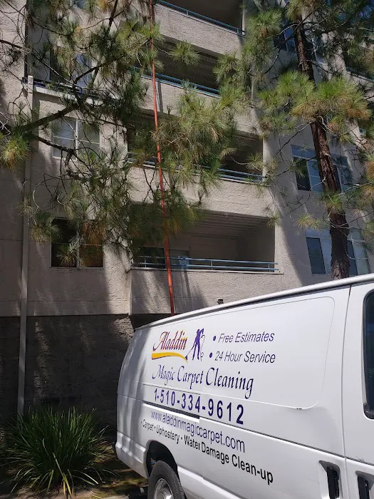 Aladdin Magic Carpet Cleaning Picture 8