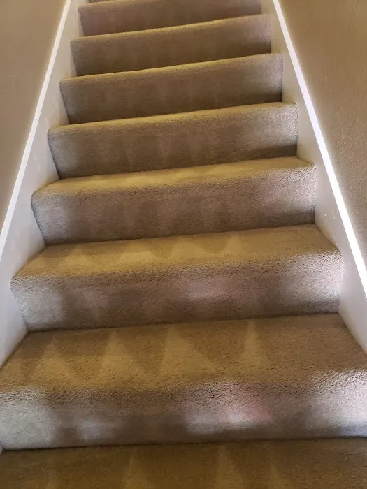 Aladdin Magic Carpet Cleaning Picture 6