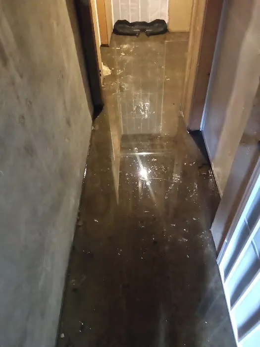 Water Damage Champ Picture 4