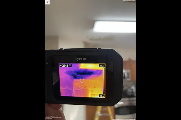 Water Damage Champ Picture 9