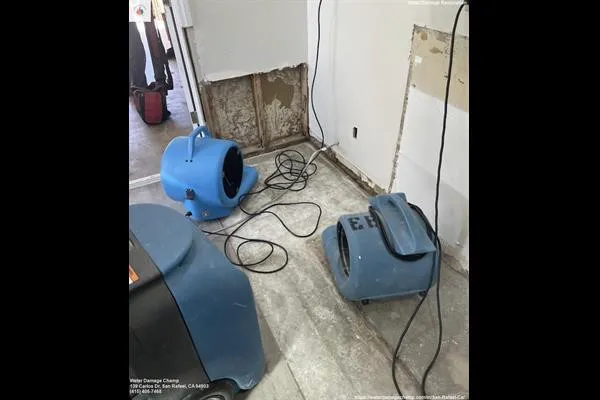 Water Damage Champ Picture 7