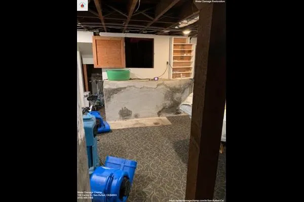 Water Damage Champ Picture 6