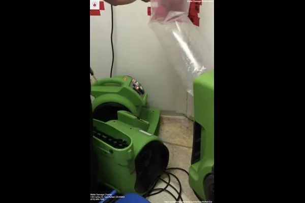 Water Damage Champ Picture 2