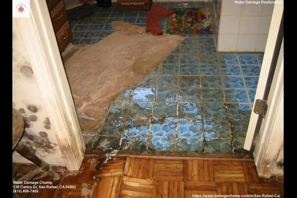 Water Damage Champ Picture 8
