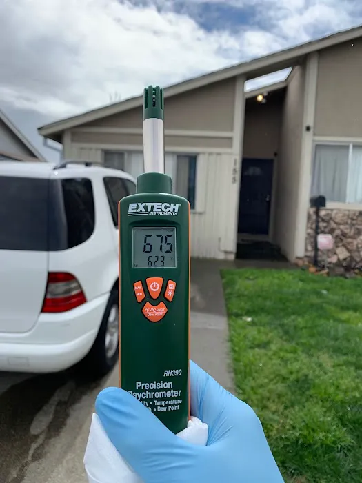 Vital Restoration Picture 2