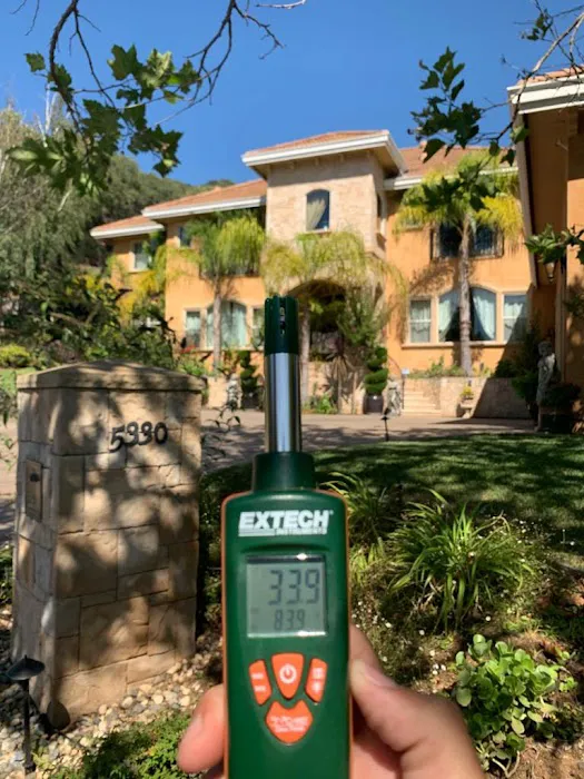 Vital Restoration Picture 5